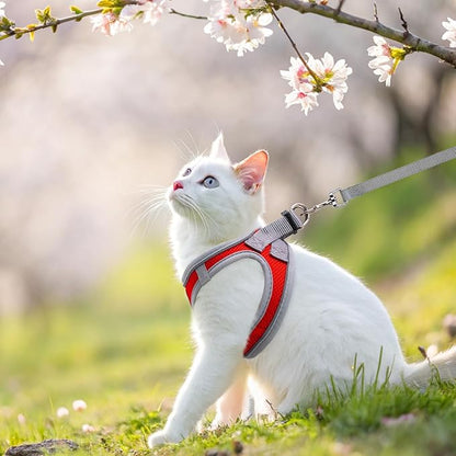 SCENEREAL Cat Harness and Leash Set Escape Proof, Adjustable Soft Air Mesh Kitten Harnesses for Girls Boys Small Medium Big Cats, Reflective Light Travel Pet Walking Vest for Puppy Rabbit, Red XL