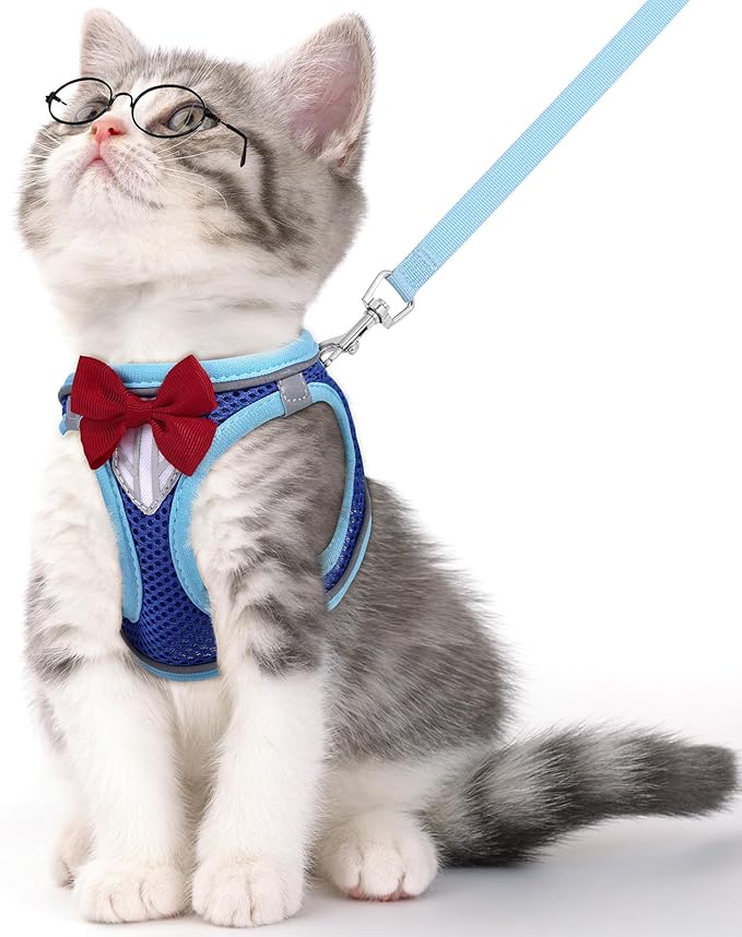 Cat Vest Harness and Leash Set for Walking Escape Proof, Adjustable Kitten Harness Breathable Mesh with Reflective Strips Harness for Kitty Puppy Bunny (Blue, XS)