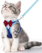 Cat Vest Harness and Leash Set for Walking Escape Proof, Adjustable Kitten Harness Breathable Mesh with Reflective Strips Harness for Kitty Puppy Bunny (Blue, XS)