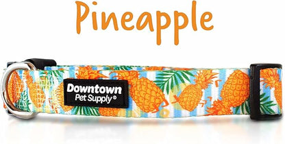 Downtown Pet Supply - Best & Fancy Dog Collar - Lightweight Adjustable with Quick Buckle & D-Ring - Hand Wash Safe - Pineapple - M - Medium