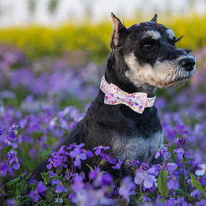 Elegant little tail Dog Collar, Rose Print Pet Collar Summer Dog Collar Durable Metal Buckle Dog Collars Cotton Pet Adjustable Dog Collars for Medium Dogs