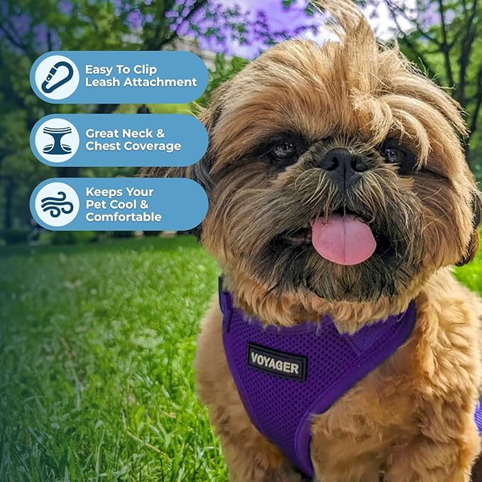 Voyager Step-in Pet Harness - All Weather Mesh, Adjustable Step in Harness for Cats and Dogs by Best Pet Supplies - Purple, M