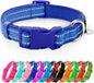 azuza Reflective Dog Collar,Soft Neoprene Padded Pet Collar with ID Tag Ring,Adjustable for Small Dogs,Royal Blue,S