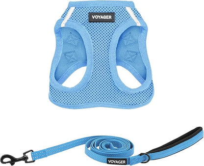 Best Pet Supplies Voyager Step-in Air All Weather Mesh Harness and Reflective Dog 5 ft Leash Combo with Neoprene Handle, for Small, Medium and Large Breed Puppies - Set (Baby Blue), XL