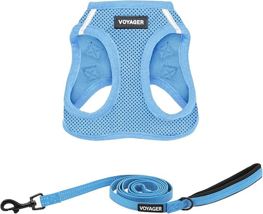Best Pet Supplies Voyager Step-in Air All Weather Mesh Harness and Reflective Dog 5 ft Leash Combo with Neoprene Handle, for Small, Medium and Large Breed Puppies - Set (Baby Blue), XL