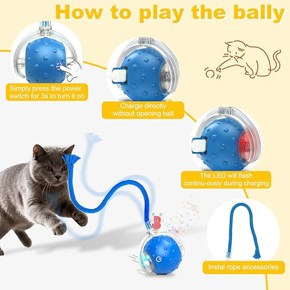 2-Pack Interactive Cat Toys Ball for Indoor Cats＆Dog,Automatic Cat Toy with Smart Obstacle Avoidance&Bird Chirps,Includes 8 Cat Spiral Spring,Cat Enrichment Toys for Indoor Cats(Red＆Blue)
