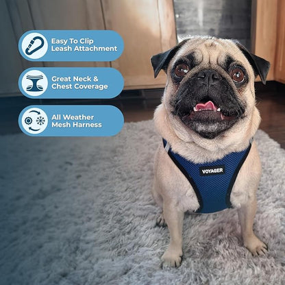 Best Pet Supplies Voyager Step-in Air All Weather Mesh Harness and Reflective Dog 5 ft Leash Combo with Neoprene Handle, for Small, Medium and Large Breed Puppies - Blue/Black Trim, Small