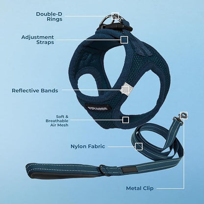 Best Pet Supplies Voyager Step-in Air All Weather Mesh Harness and Reflective Dog 5 ft Leash Combo with Neoprene Handle, for Small, Medium and Large Breed Puppies - Harness Leash Set (Blue), M