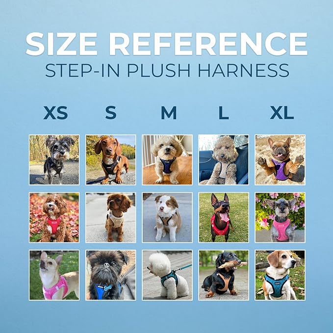 Best Pet Supplies - All Weather Plush, Reflective, No Pull Harness for Small, Medium Dogs, Cats - Secure with Hook & Loop Fastener, Buckle, Double D-Rings - Black Plush, M