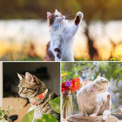 SCENEREAL Breakaway Cat Collar with Bells, 3 Pack Spring Pink Cats Collars with Safety Buckle, Soft Adjustable Cute Kitten Puppy Personalised Summer Collars for Dogs Girl Boy