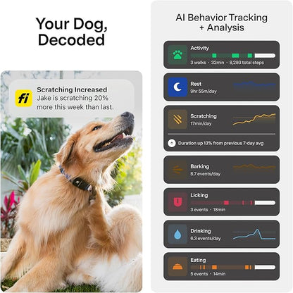 New Fi Series 3+ Smart Dog Tracker Collar [6 Month Membership Included] GPS Tracker for Dogs with Health & Behavior Monitoring, Escape Alerts, Waterproof, LED, Apple Watch Compatible (Gray, X-Small)