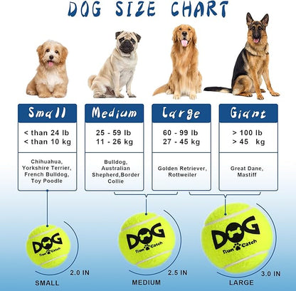 Tennis Balls for Dogs - 12 Pack 2.0'' Durable Non-Toxic Outdoor Dog Toys Balls with Mesh Bag, SGS Certified, Colorful Fetch Toys, Small Breeds (Non Squeaky)