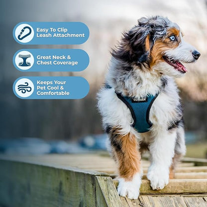 Voyager Step-in Pet Harness - All Weather Mesh, Adjustable Step in Harness for Cats and Dogs by Best Pet Supplies - Turquoise/Black Trim, S