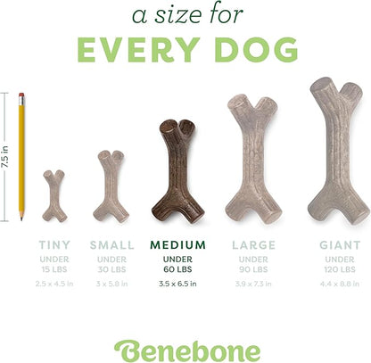 Benebone Bacon Stick Durable Dog Chew Toy for Aggressive Chewers, Real Bacon, Made in USA, Medium