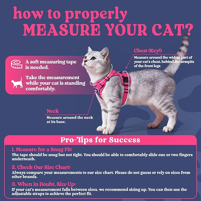 rabbitgoo Cat Harness and Leash for Walking, Escape Proof Soft Adjustable Vest Harnesses for Cats, Easy Control Breathable Reflective Strips Jacket, Coconut Fuchsia,XXS