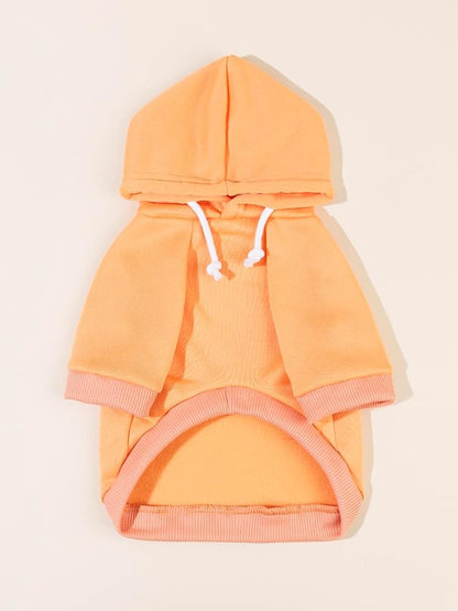 QWINEE Basic Dog Hoodie Sweatshirt Puppy Sweater Warm Cat Costumes Pet Clothes for Chihuahua Puppy Kitten Small Medium Dogs Orange X-Small