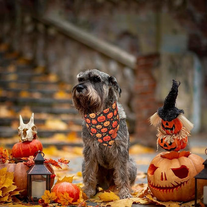 PTDECOR Halloween Dog Bandana, Skeleton Pumpkin Reversible Holiday Dog Scarf, Triangle Halloween Bandanas for Small Dogs Puppies Cats(Small)