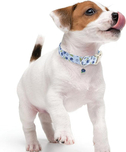 Faygarsle Blueberry Pattern Dog Collar for for Summer Small Medium Large Dogs Light Blue S