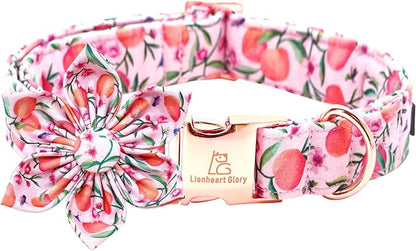 Lionheart Glory Pink Peach Dog Collar with Soft Durable Adjustable Bows