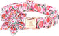 Lionheart glory Dog Collar with Flower Pink Peach Dog Collar Girl Soft Durable Adjustable Collar Bows Spring Collar Dog Flower for Large Dogs