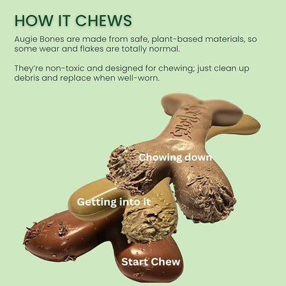 2-Pack Non-Toxic Dog Toys - Sustainable Roasted Peanut Butter Flavored Dog Chew Toys for Aggressive Chewers - Plant-Based Bioplastic Pet Toys - Made in The USA (Mighty)