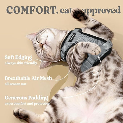 rabbitgoo Cat Harness and Leash for Walking, Escape Proof Soft Adjustable Vest Harnesses for Cats, Easy Control Breathable Reflective Strips Jacket, Grey, XXS