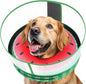 Inflatable Dog Cone with Anti-Licking Clear Shield, Protective Dog Donut Collar After Surgery, Adjustable Soft Recovery Cone for Pets, Alternative Collar with Buckle Strap (Watermelon, M)