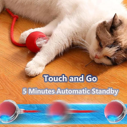 Interactive Cat Toys for Indoor Cats, Agility Move Cat Balls,Motion Activated Cat Balls, Cat Toys for Bored Indoor Cats (Pink)