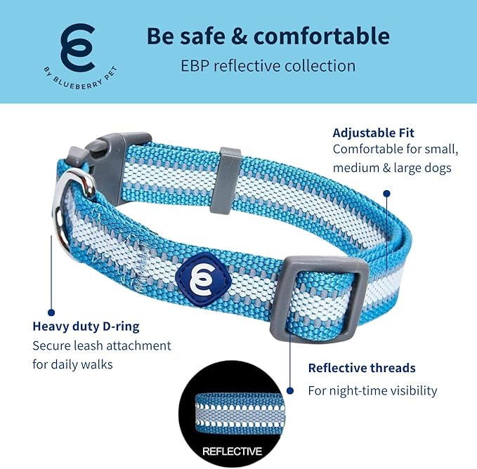 Blueberry Pet Essentials Reflective Dog Collar for Medium Dogs | Adjustable Nylon Collar in Sky Blue | Classic Solid Color Matching Medium Dog Collar