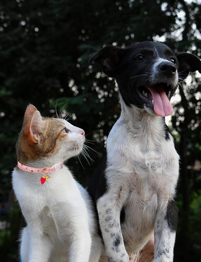 Cat Collar Breakaway with Bells,3 Pack Safety Adjustable Pet Collars,Ideal for Girl Boy Kittens. (White Yellow Pink)