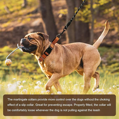 Hikiko Martingale Dog Collars Reflective Nylon Dog Collar with Quick Release Buckle Adjustable Training No Slip Dog Collar (Small, Orange)
