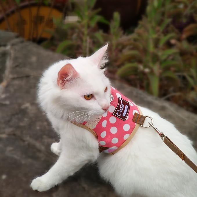 Cat Harness and Leash for Walking Escape Proof, Adjustable Cat Vest Harness, Padded Stylish Cat Walking Jackets, Polka Dot Pink, Medium