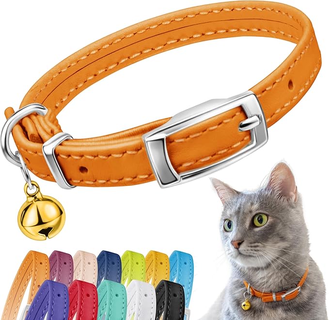 CollarDirect Leather Cat Collar, Kitten Collar with Removable Bell Black Blue Red Orange Lime Green (8-11 Inch, Orange)