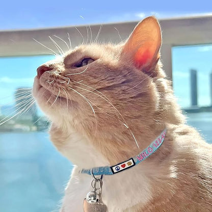 Pawtitas Personalized Blue Reflective Cat Collar – Adjustable Custom Collar with Safety Buckle, Removable Bell, and Engraved Name & Phone Number for Kittens and Adult Cats