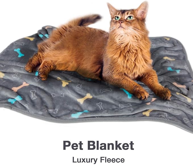 Allisandro Luxurious Dog Blanket, 350 GSM Super Fuzzy Microplush Fleece Pet Blankets for Small Medium Large Dogs and Cats, Grey Bone, 32 x 24 Inches