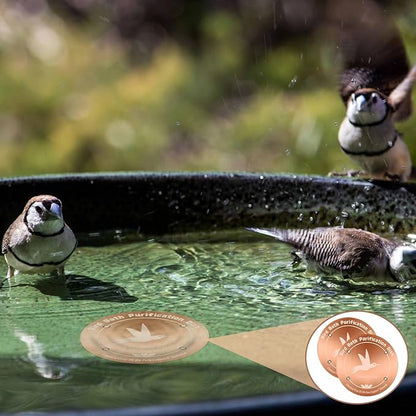 4 Inches Pure Copper Bird Bath Purification Disk,0.6mm thick,Reinforced Copper Purification Cleaner with Four-Point Support,All-Season Safe Clean Water Solution,Universal Fit for Outdoor Birdbath&Bowl