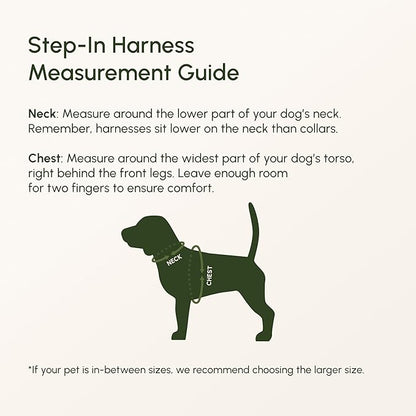 Downtown Pet Supply Step in Dog Harness for Small Dogs - Adjustable, Escape Proof Dog Harness with Reflective Trim - All-Weather, Fast-Drying Padded Mesh Fabric - Lilac, XXS