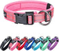 EXCELLENT ELITE SPANKER Reflective Dog Collar Classic Soft Padded Breathable Nylon Adjustable Pet Collar with Quick Release Buckle for Boy Girl Male Female Small Medium Large Dogs Training(Pink-XL)