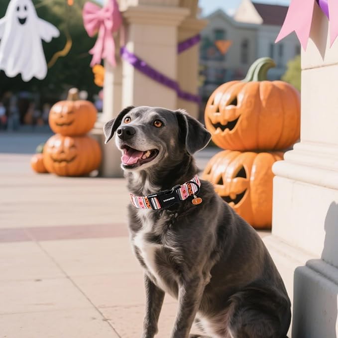 DOGWONG Fall Dog Collar- Pink Halloween Dog Collars Adjustable Classic Halloween Dog Collar for Small Medium Large Dogs XL
