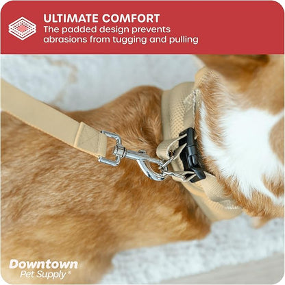 Downtown Pet Supply Step in Dog Harness for Small Dogs No Pull, Large, Khaki - Adjustable Harness with Padded Mesh Fabric and Reflective Trim - Buckle Strap Harness for Dogs