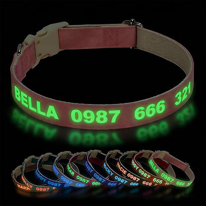 DOG WORLD Custom Fluorescent Dog Collar - Personalized Luminous Name & Phone Number for Night Safety, Fashionable & Easy-to-Use Pet Accessory, Ideal for Night Walks