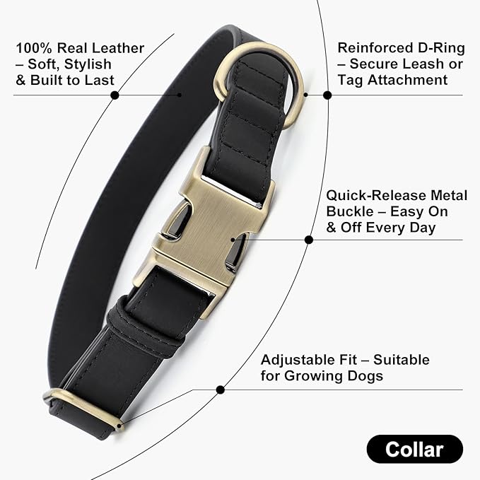 Plutus Pet Genuine Leather Dog Collar – Adjustable Pet Collar with Quick Release Metal Buckle, Soft Real Leather for Small Medium Large Dogs, Heavy Duty & Skin-Friendly (Black, XS)