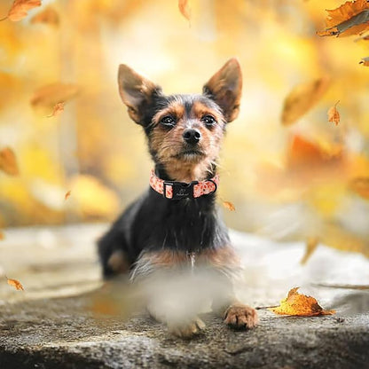 Fall Dog Collar, Cute Football Pattern Puppy Collar, Orange Adjustable Cotton Holiday Tanksgiving Dog Collars for Small Medium Large Boy&Girl Dogs XL