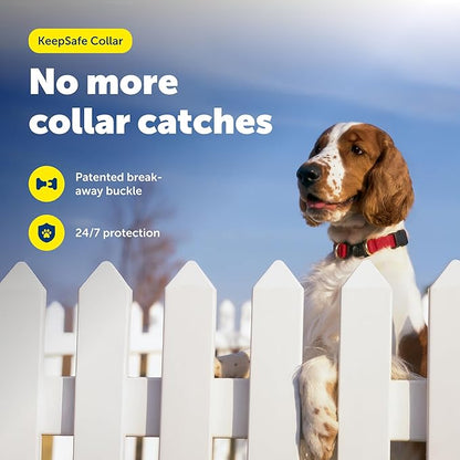 PetSafe KeepSafe Collar for Dogs - Protects Against Collar Accidents - Long Lasting - Durable - Adjustable - Breakaway - Outdoor-Safe - Small - 3/4 In. Wide - Red