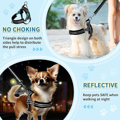 SlowTon No Pull Small Dog Harness and Leash Set, Puppy Soft Vest Harness Neck & Chest Adjustable, Reflective Lightweight Harness & Anti-Twist Pet Lead Combo for Small Medium Dogs (Black, S)