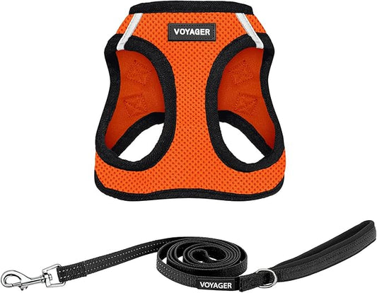 Best Pet Supplies Voyager Step-in Air All Weather Mesh Harness and Reflective Dog 5 ft Leash Combo with Neoprene Handle, for Small, Medium and Large Breed Puppies - Orange/Black Trim, Medium
