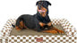 Large Dog Bed Orthopedic Washable: Beds Bolster XXL Bed Big XLarge Dogs Egg Crate Foam Sofa Couch Waterproof Removable Cover - Brown Grid