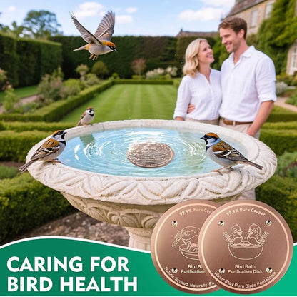 1 Pcs Copper Disc for Bird Bath | 99.99% Pure Copper Plate & Birdbath Disk | 0.6mm Thick Reinforced Design | Maintains Clean Water Naturally | Fits All Birdbath Bowls Year-Round (Bird Style 5)