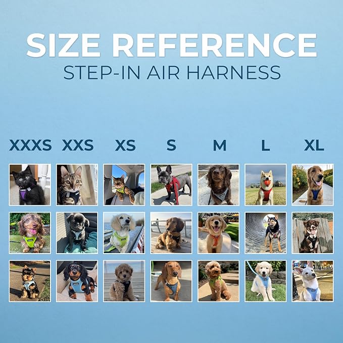 Best Pet Supplies - All Weather Mesh / Plush, Reflective, No Pull Harness for Small, Medium Dogs, Cats - Secure with Hook & Loop Fastener, Buckle, Double D-Rings - Blue/Black Trim, L
