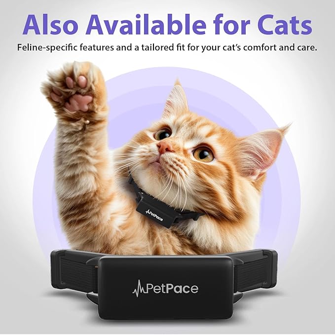 V3.0 Dog Health Monitor – AI Health Collar with 24/7 Vital Signs Tracks Pain GPS, Telehealth AskaVet & Share with Your Vet & Apple Watch Sync – Subscription Required (Medium)